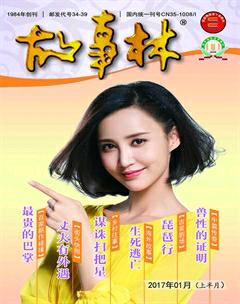 故事林2017年1期