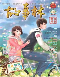故事林2017年6期