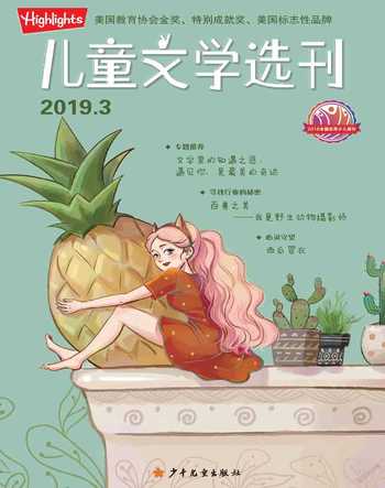 儿童文学选刊2019年3期