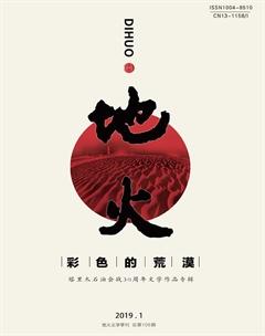 地火2019年1期