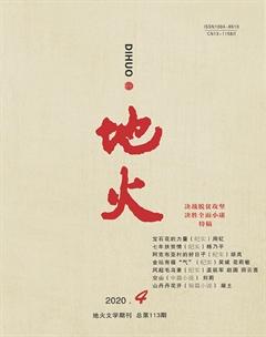 地火2020年4期
