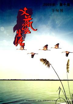文艺生活·下旬刊2009年10期