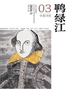 鸭绿江·华夏诗歌2020年3期