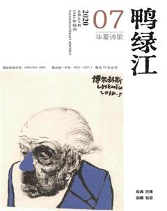鸭绿江·华夏诗歌2020年7期