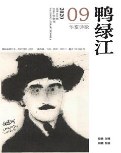 鸭绿江·华夏诗歌2020年9期