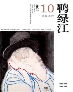 鸭绿江·华夏诗歌2020年10期