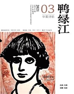 鸭绿江·华夏诗歌2021年3期