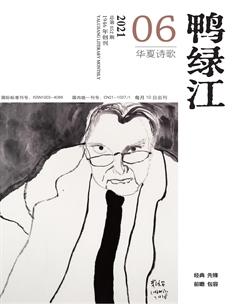 鸭绿江·华夏诗歌2021年6期