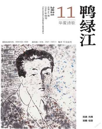 鸭绿江·华夏诗歌2021年11期