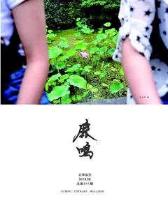 鹿鸣2019年6期