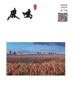 鹿鸣2020年1期