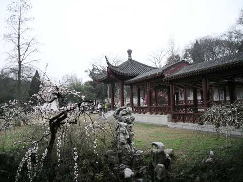 东湖梅园