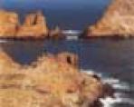 风景画7