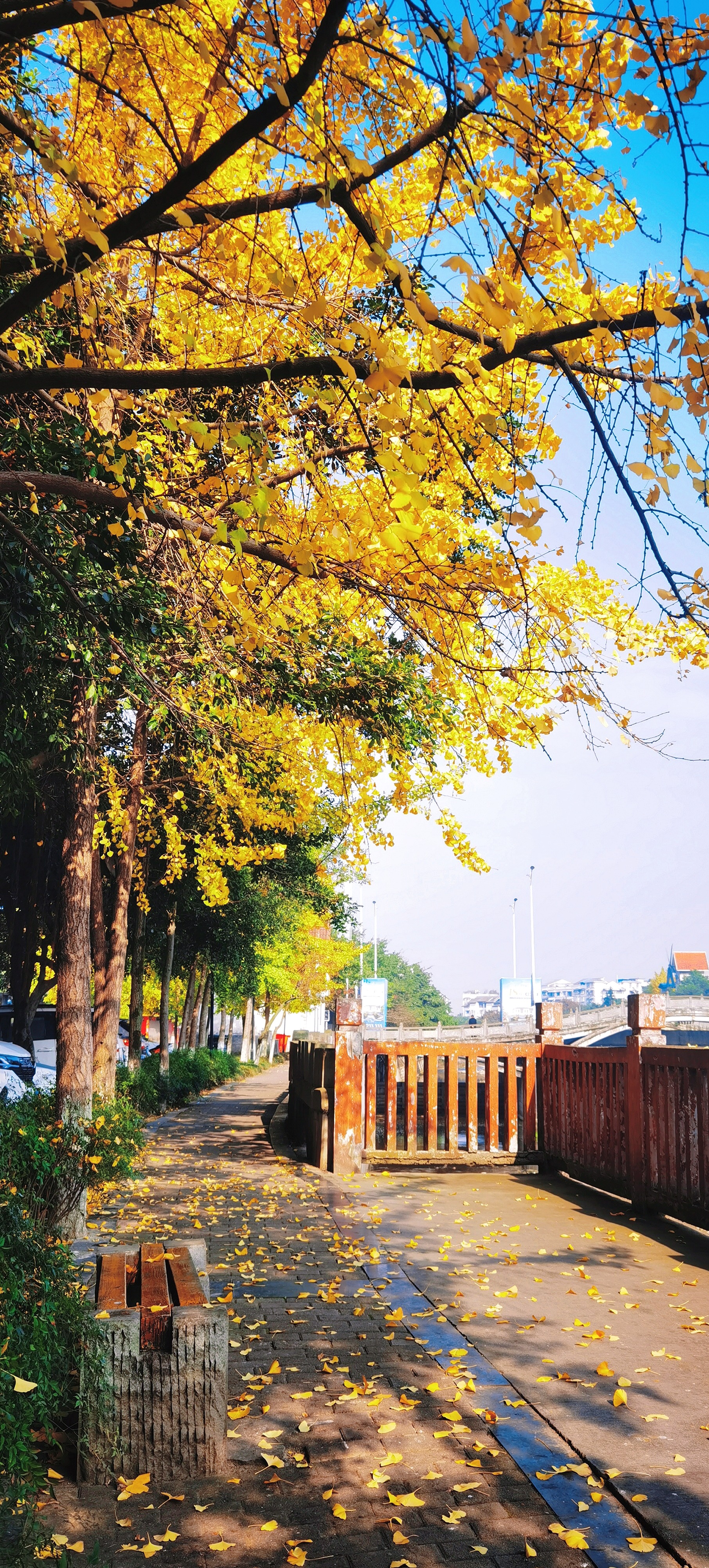 风景名胜