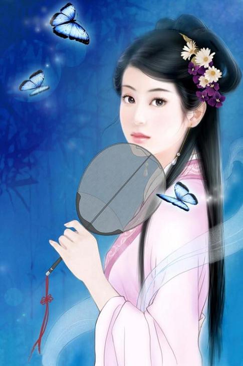 蝶纷飞