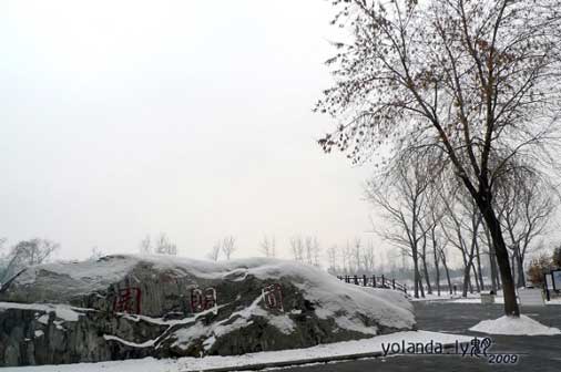 雪4