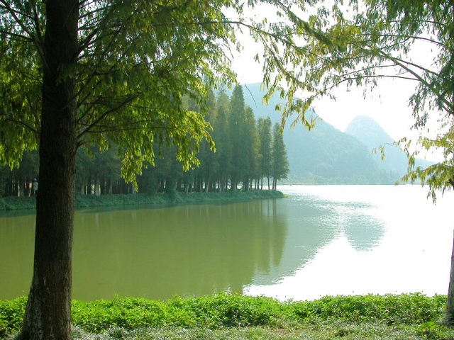 绿水青山
