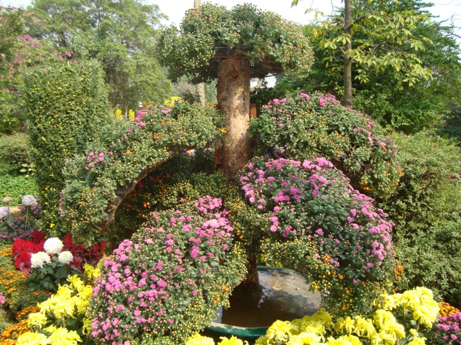 2010年小榄菊花会5