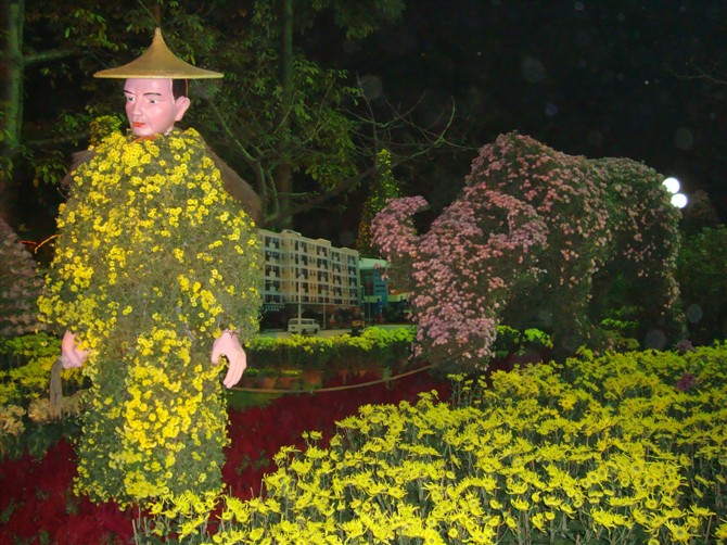 2010年小榄菊花会7