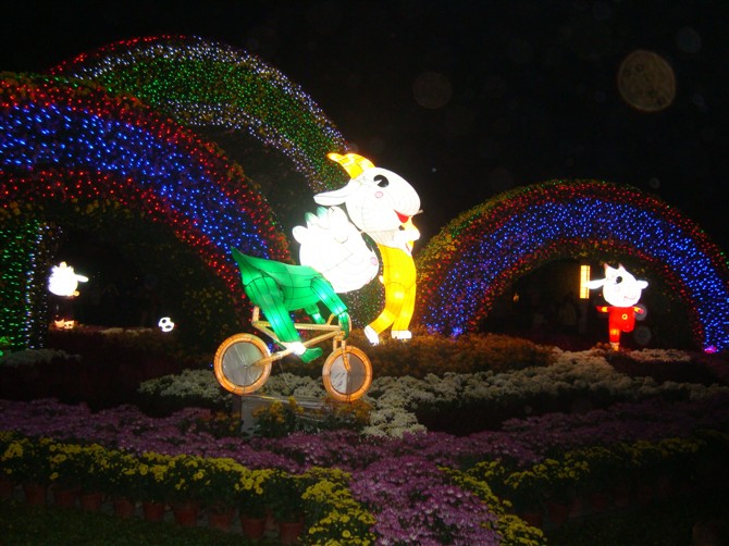 2010年小榄菊花会8
