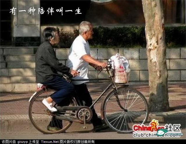 一路同车