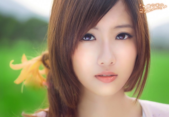 田园清风1