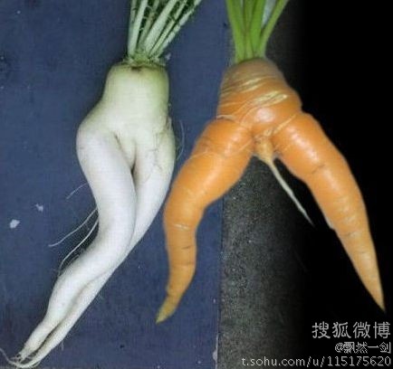 男孩女孩