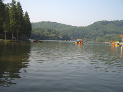 水树相印