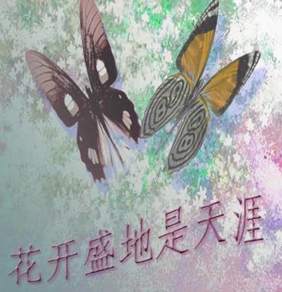 花开盛地