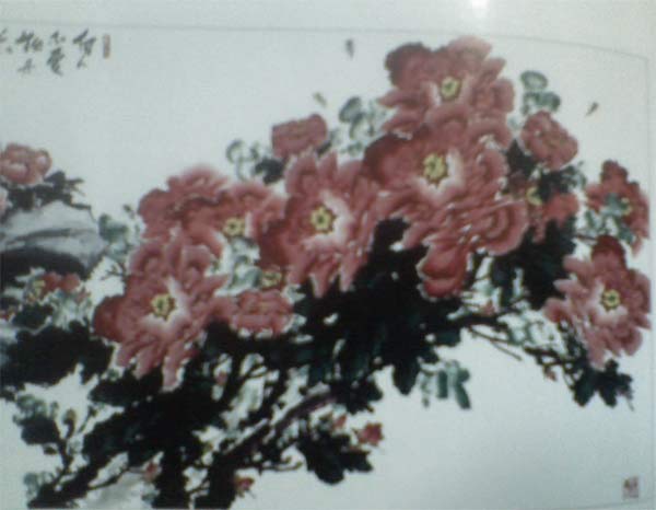 牡丹2