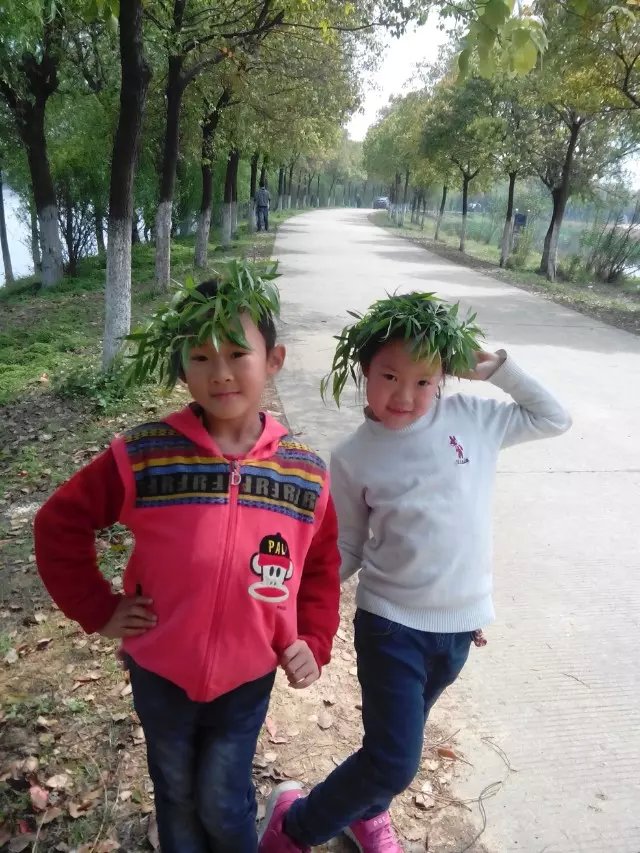 阳桥湖  踏青