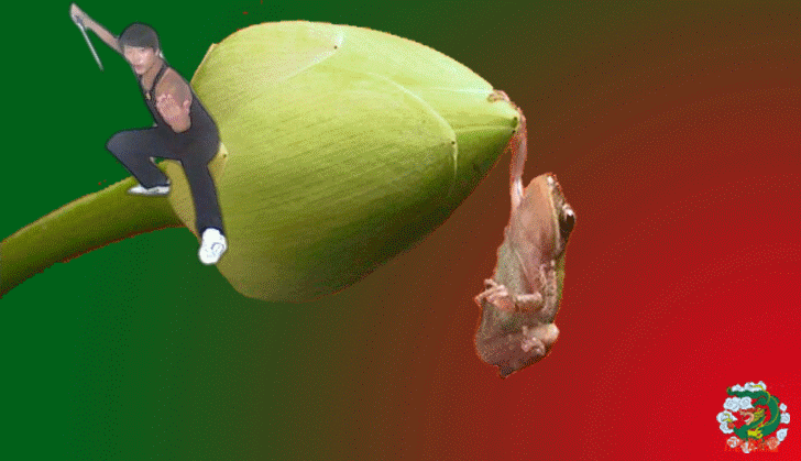 搞笑