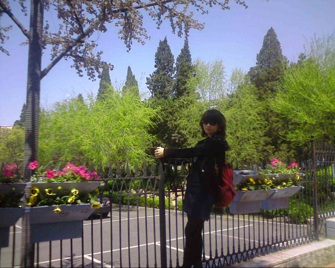 虫虫