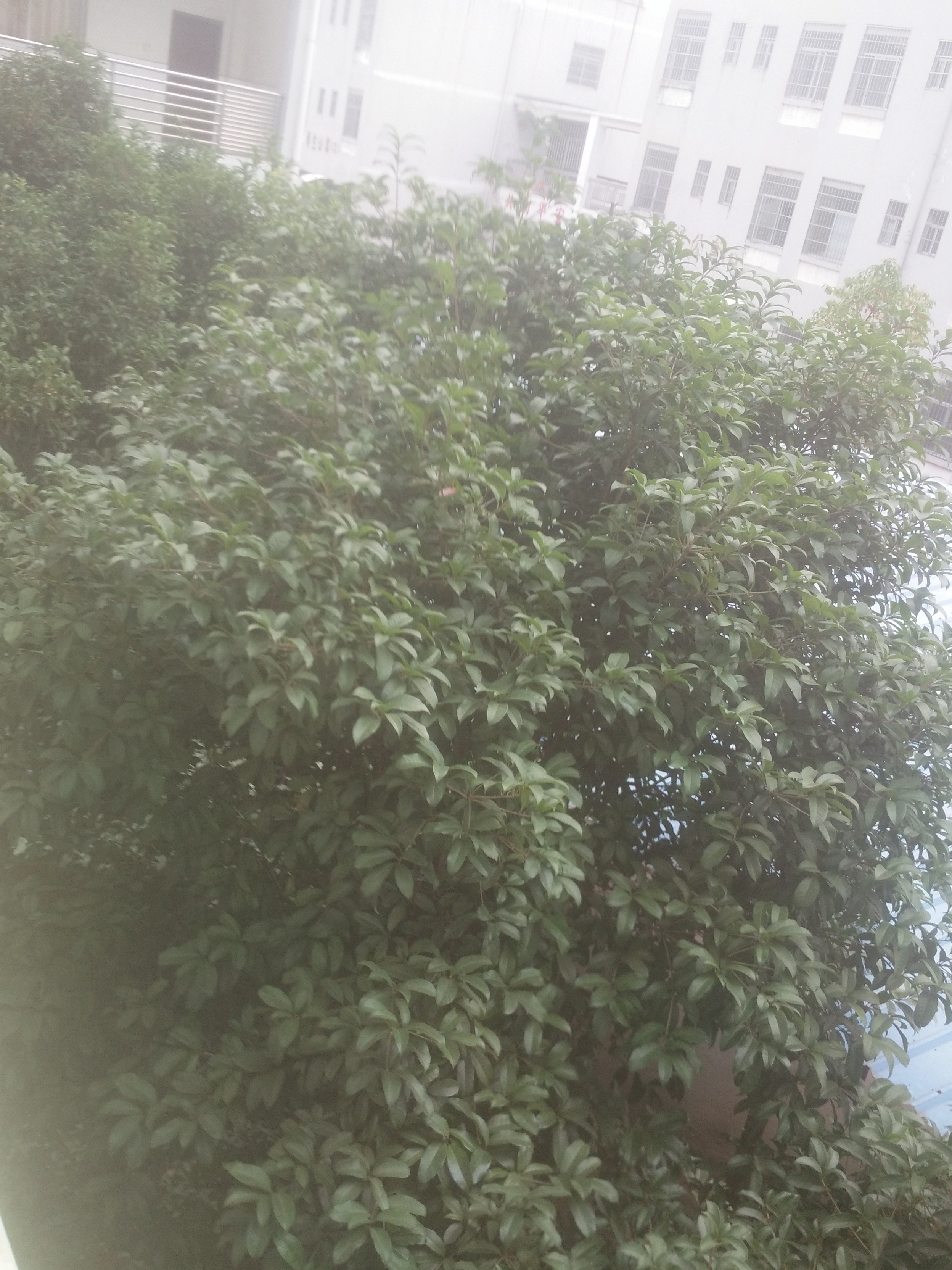 无标题