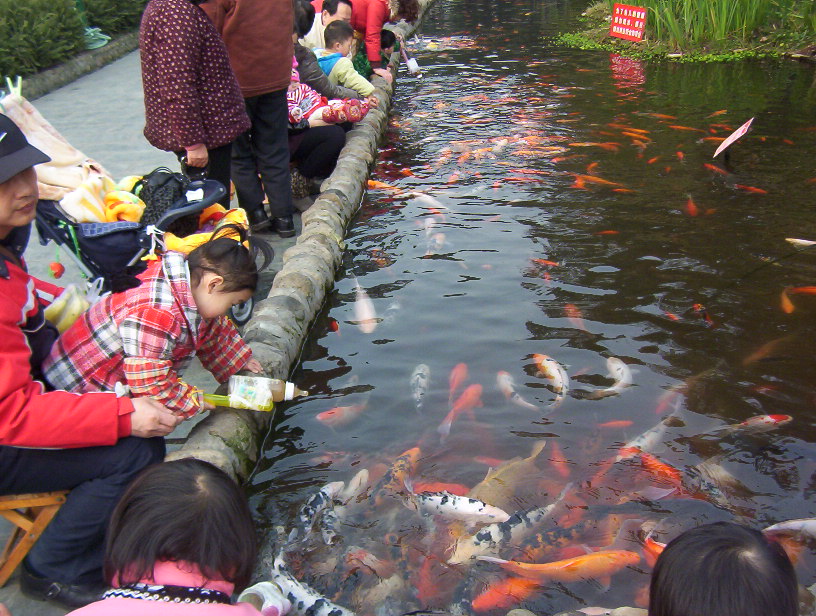 浣花公园景色美