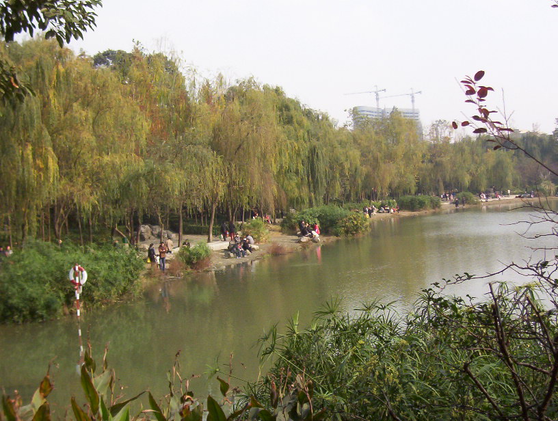 浣花公园景色美
