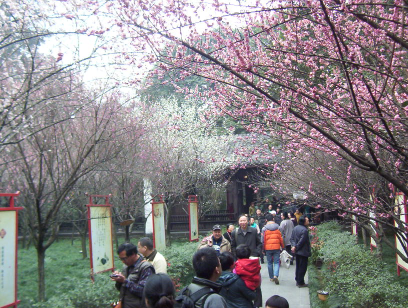 草堂人日游