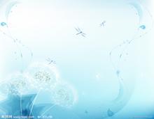 蒲公英4