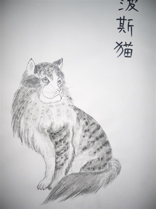我的画册