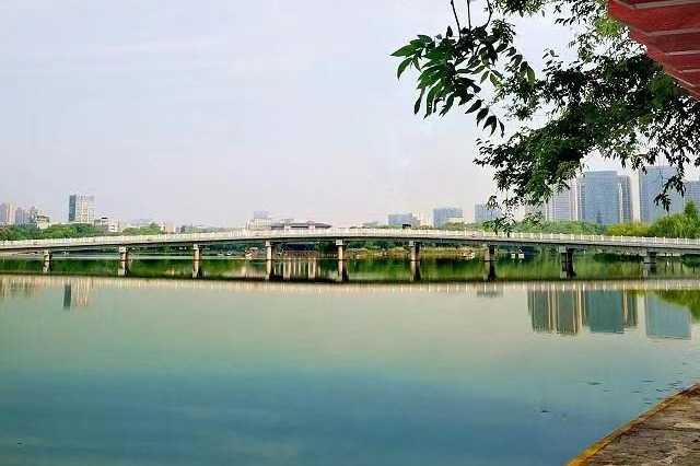 池边喜逐綵旗行，初夏亭台照水明。——（杨坤 摄）