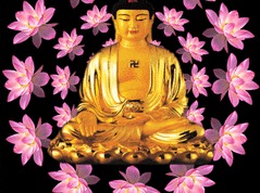 佛法无边