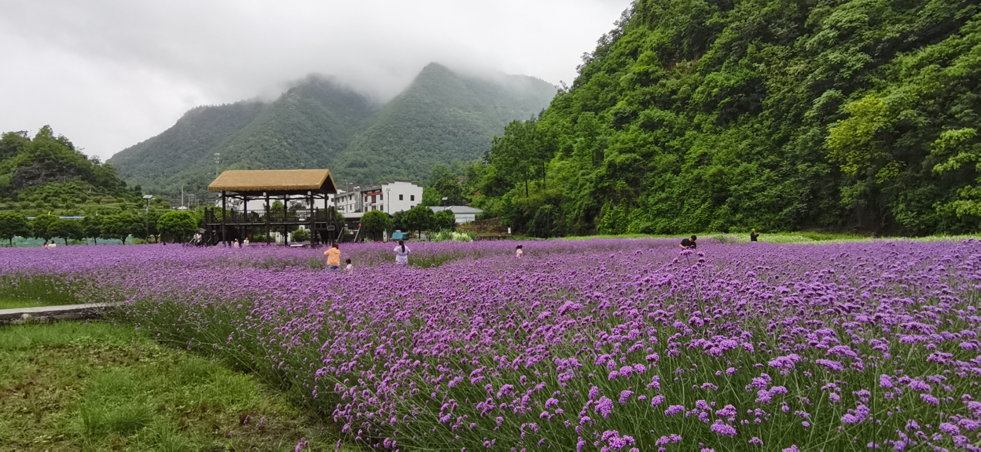 风景名胜