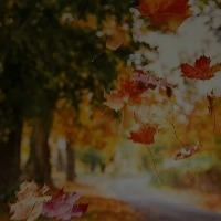等雨。。落地的个人文集
