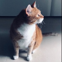 何长安的个人文集