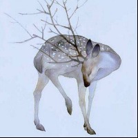 伴月星辰的个人文集