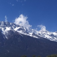 落红飘雪