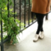 七伊鱼的个人文集