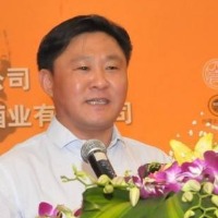 郑新涛的个人文集