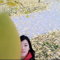 音符的个人文集