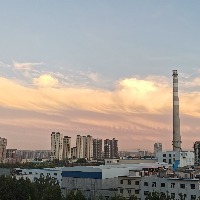 墙头草的个人文集
